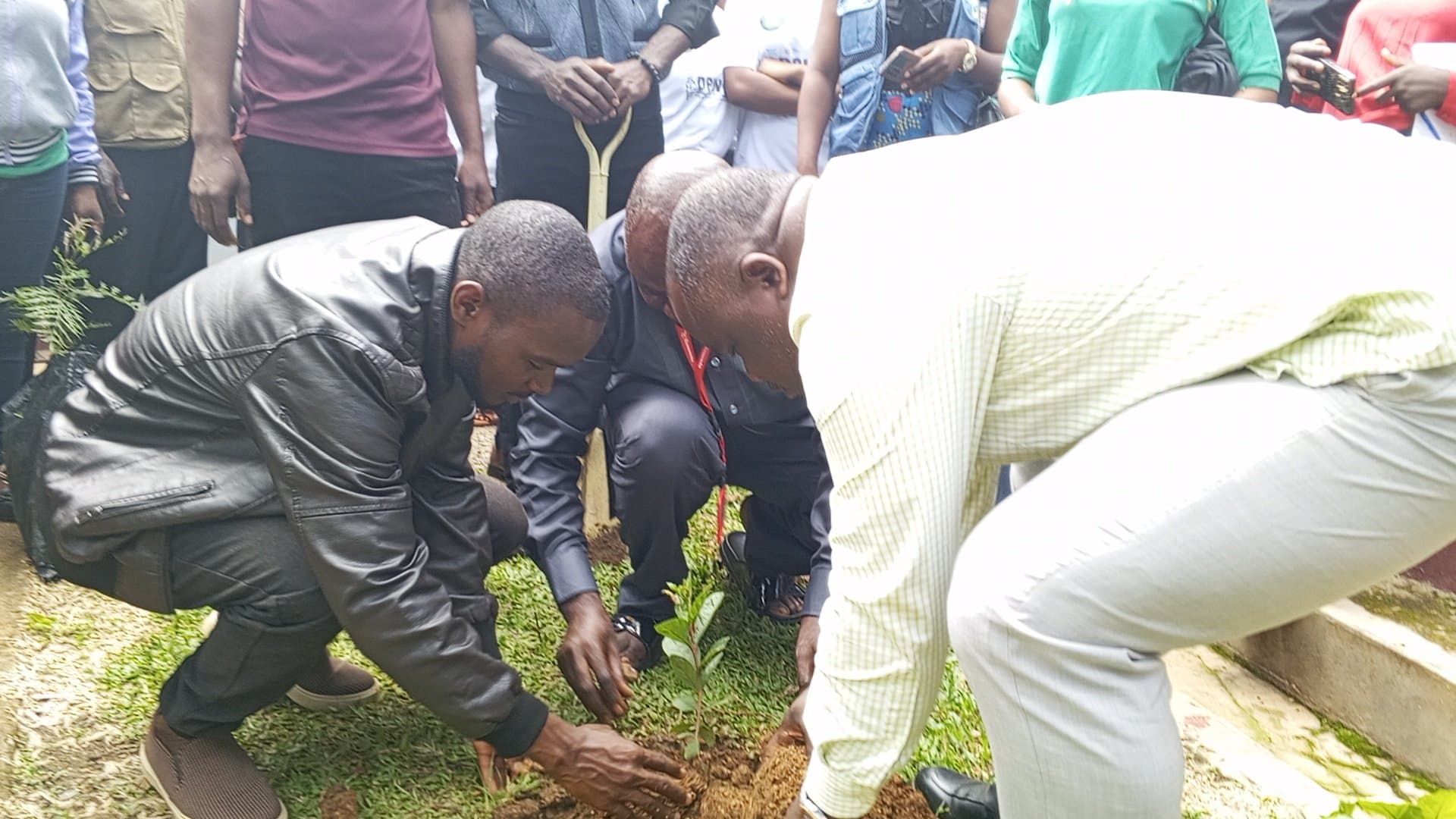 Bamenda célèbre la Journée mondiale de l'environnement 2025 : « Lutter contre la pollution plastique »