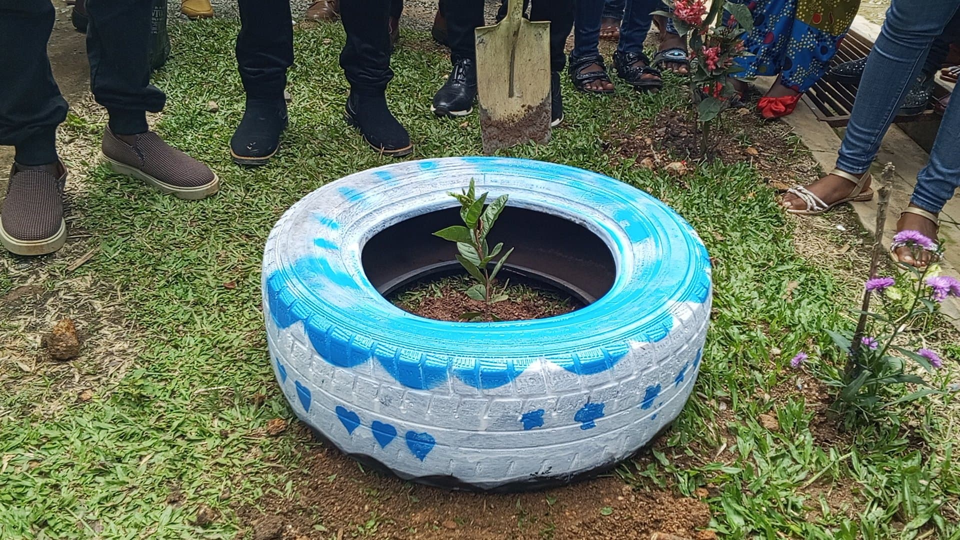 Bamenda célèbre la Journée mondiale de l'environnement 2025 : « Lutter contre la pollution plastique »